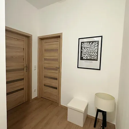 Apartment 5 Betten Montuerwhonung Mit Waschmaschine Dusseldorf