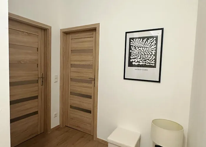 Appartement 5 Betten Montuerwhonung Mit Waschmaschine Düsseldorf